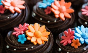 Bakery Supplies: Cake Decorating, Cupcake, & Candy Making Supply in St. Peters